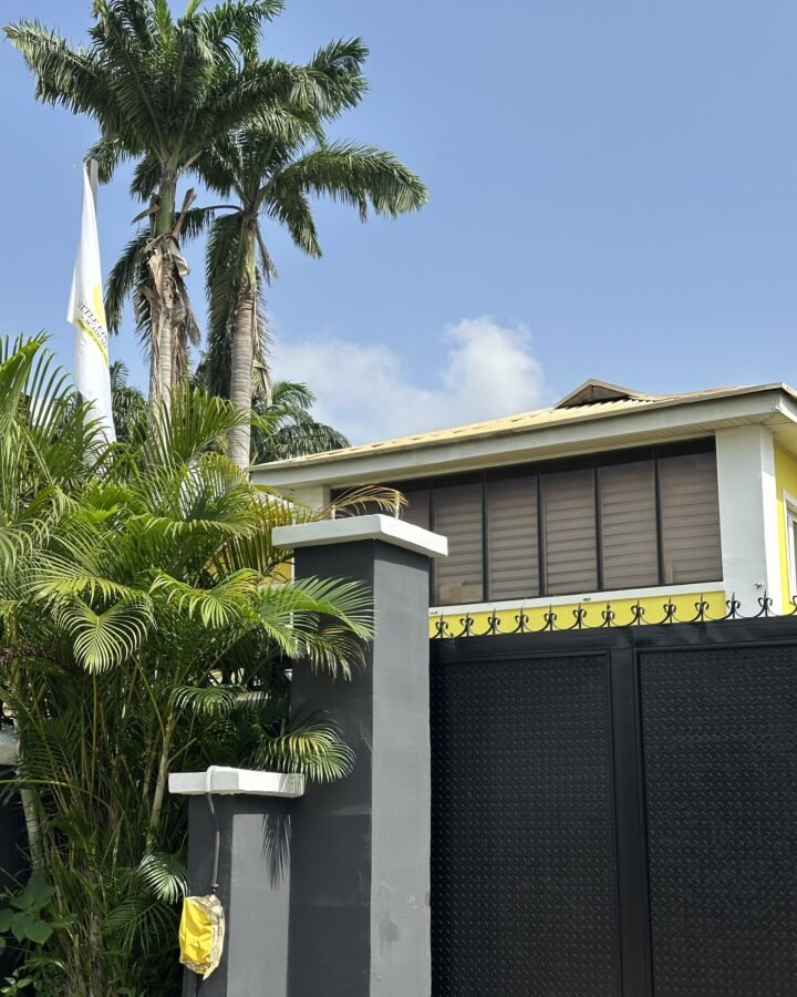 Palm trees and the gate at the school entrance, with the school building behind